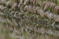 8640t　キセキレイ