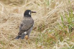 8828ｔ　朝食ゲット