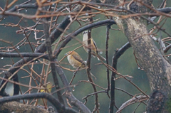 2135tm　カップル発見