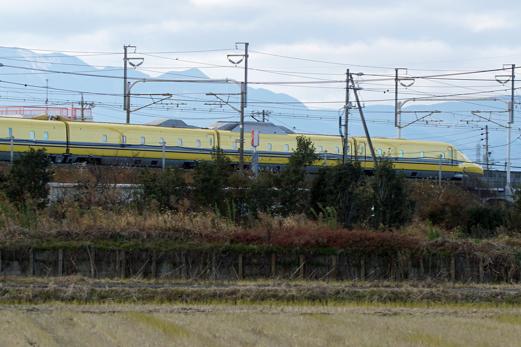 4667tm