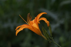 0276