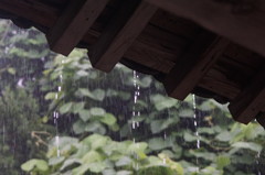 8820　雨