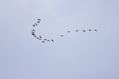 0030m