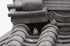 3613