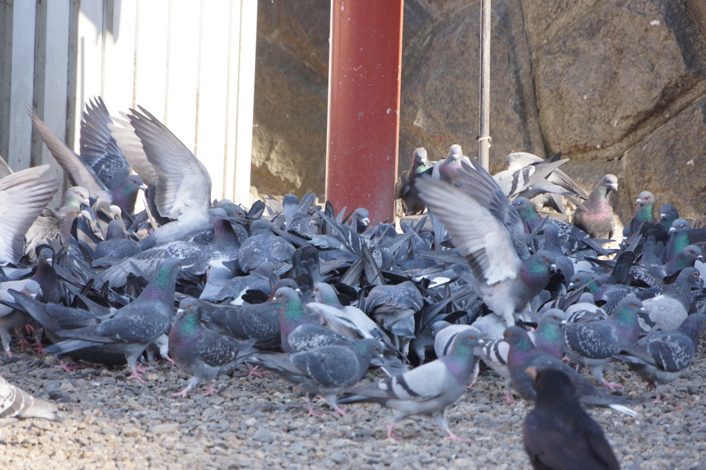 4430　バーゲンセール並