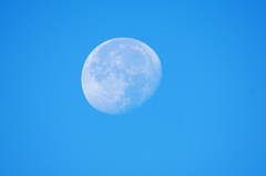 8136m　今朝の月
