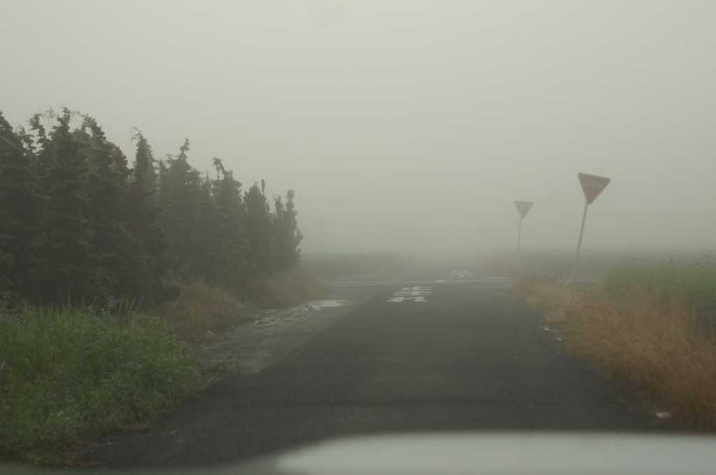5329　今朝の霧