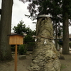 1859　ねじの木