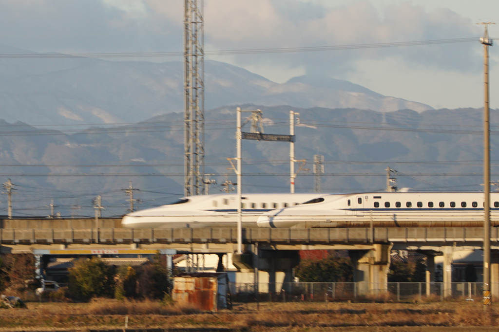 5501t　散歩コースの被写体総出演-3