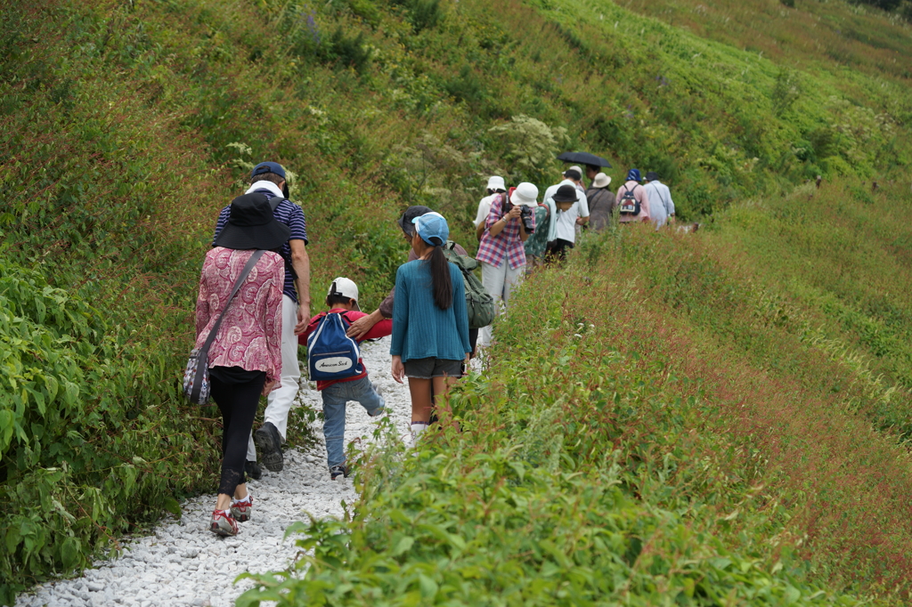 3375 伊吹山登山道