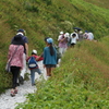 3375 伊吹山登山道