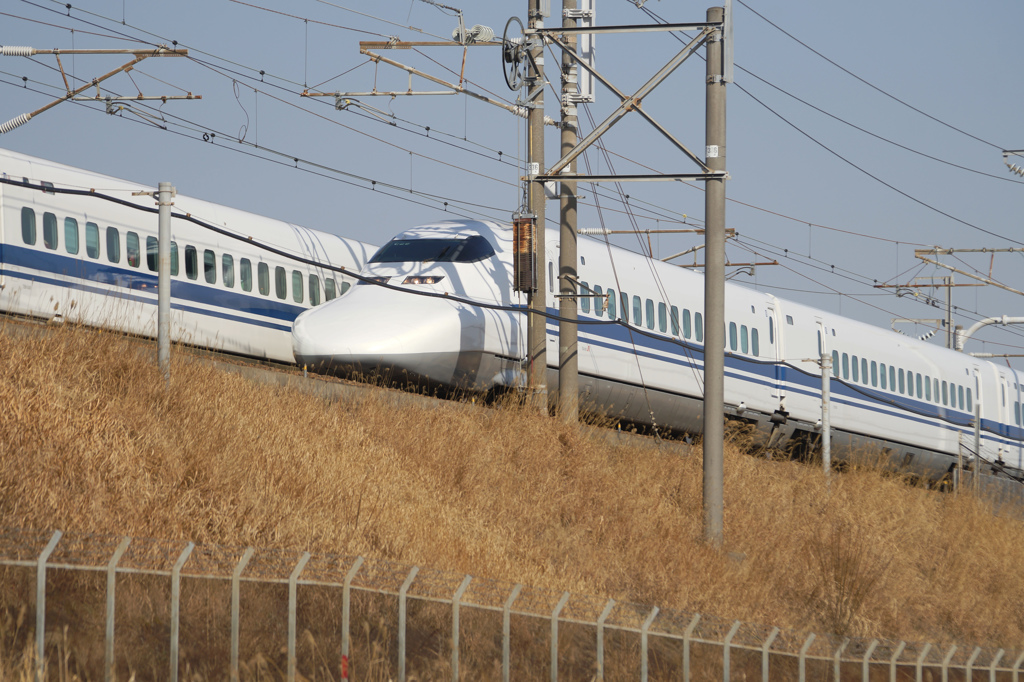 5923tm