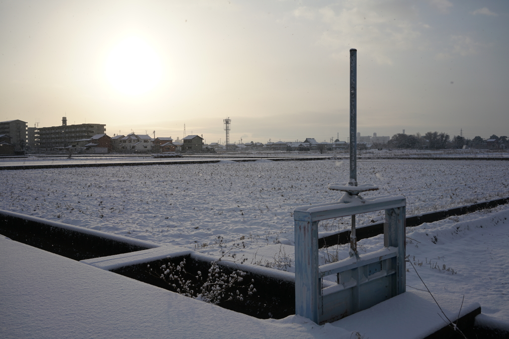 4755 今朝の雪景色