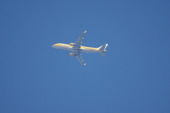 8782m