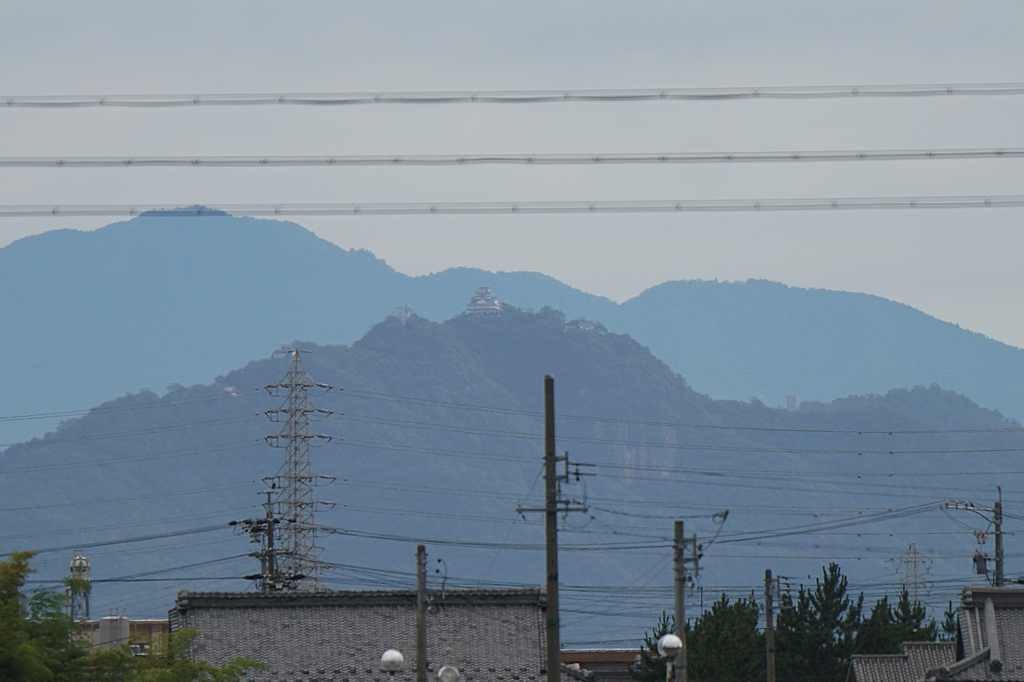 2394m