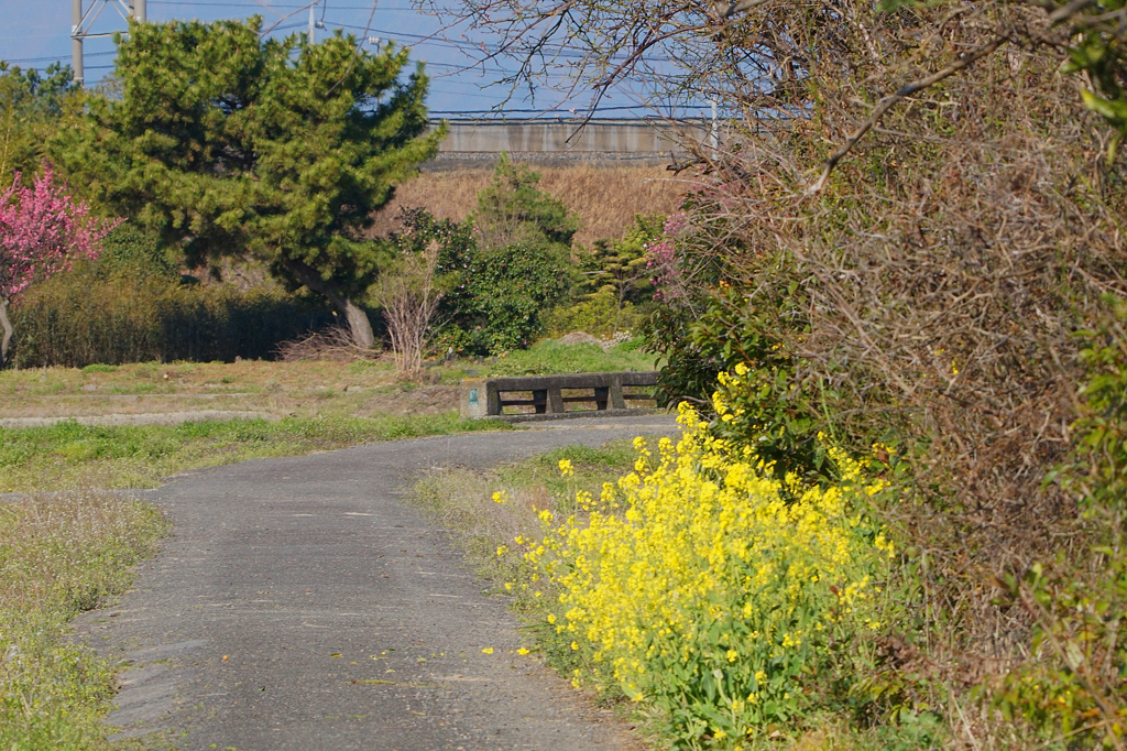 8381m　散歩道