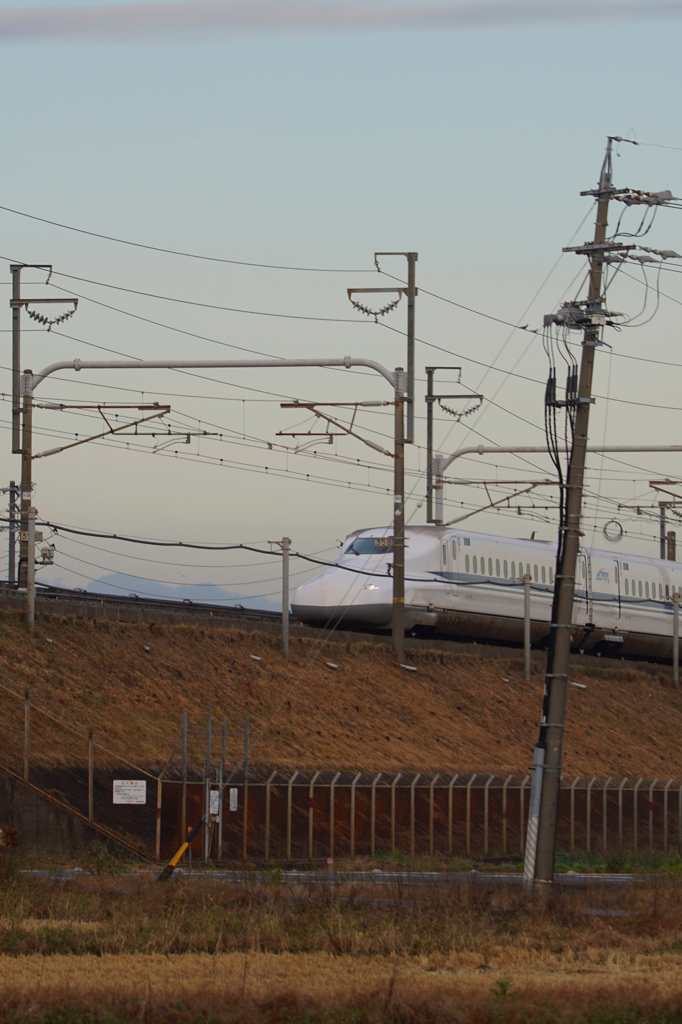 4051tm　電柱の傾き許容度はどれほどなんでしょう