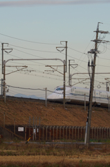 4051tm　電柱の傾き許容度はどれほどなんでしょう