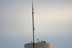 3600m