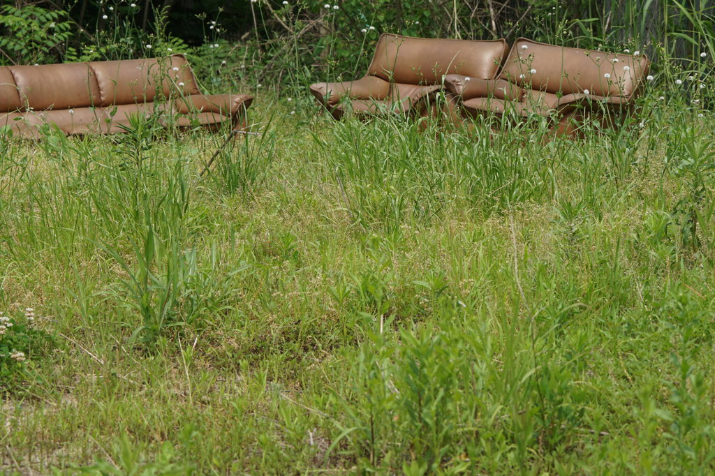 5221　「どうぞ」といわれても