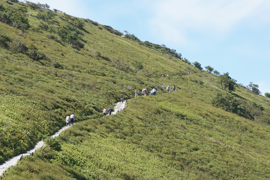 0333　伊吹山