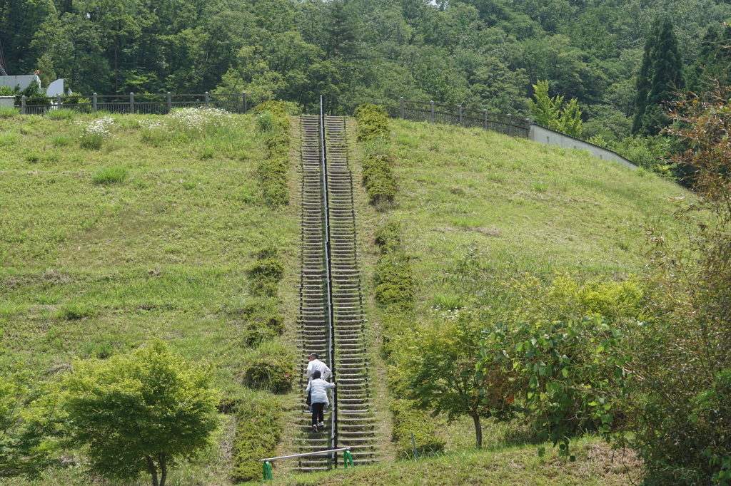 1361 竹田城跡への道