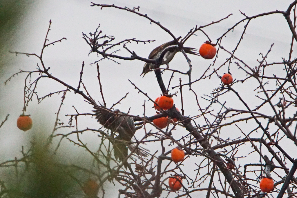 5734tm 喧嘩だったんだ～