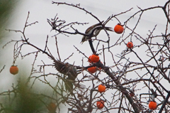 5734tm 喧嘩だったんだ～