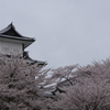花霞