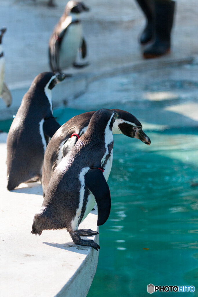 天王寺動物園