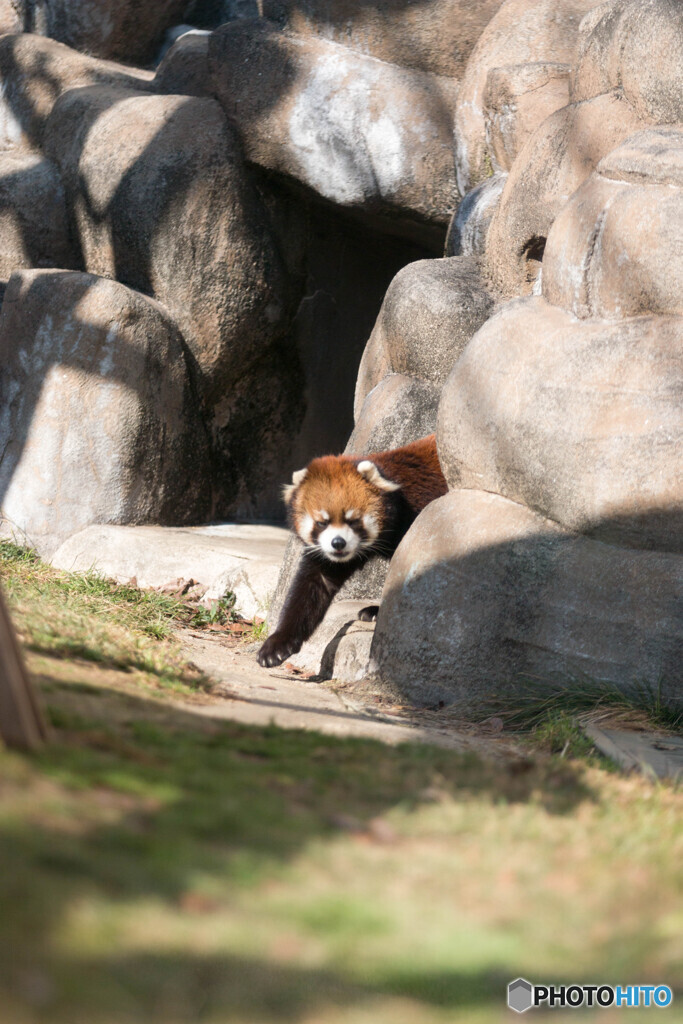 天王寺動物園