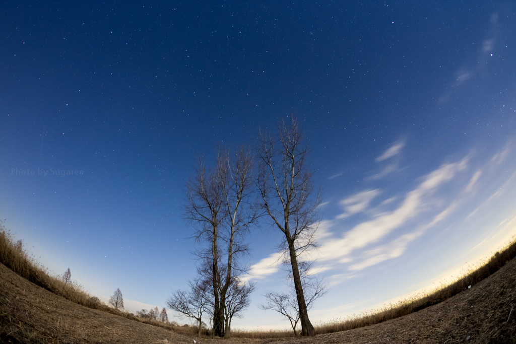 EOS6D+SIGMA15mm試写Ⅲ