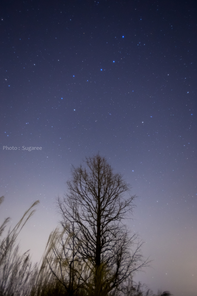 同じ星空の下で