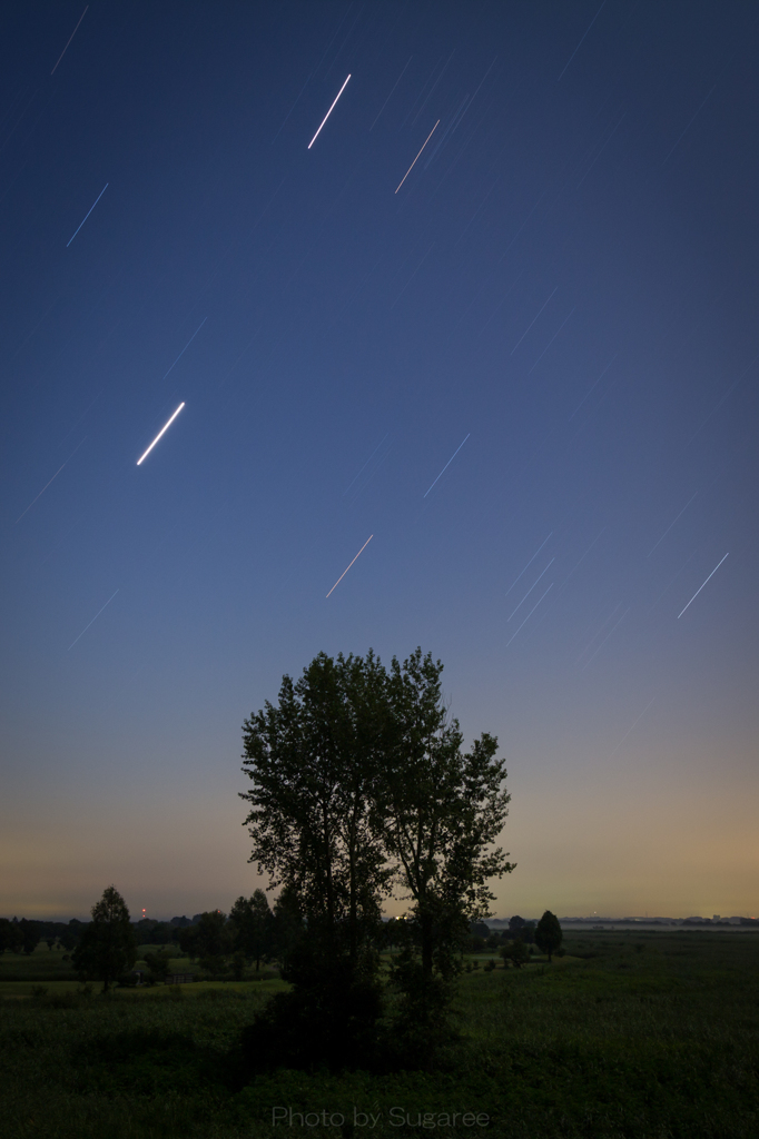 渡良瀬遊水地、夏の夜