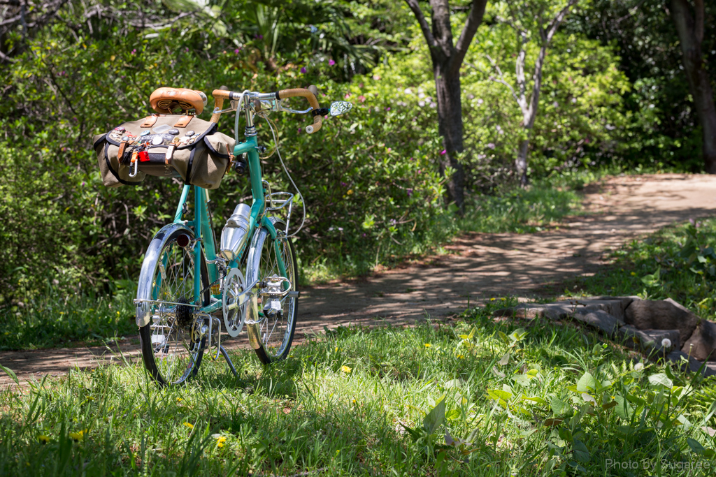 自転車日和