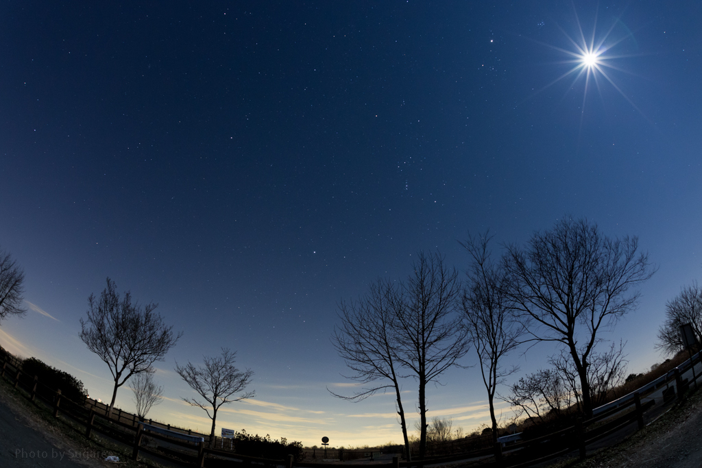 EOS6D+SIGMA15mm試写Ⅰ