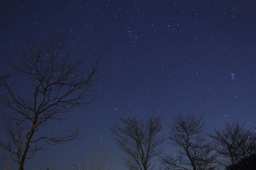 星月夜