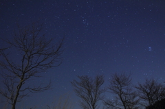星月夜