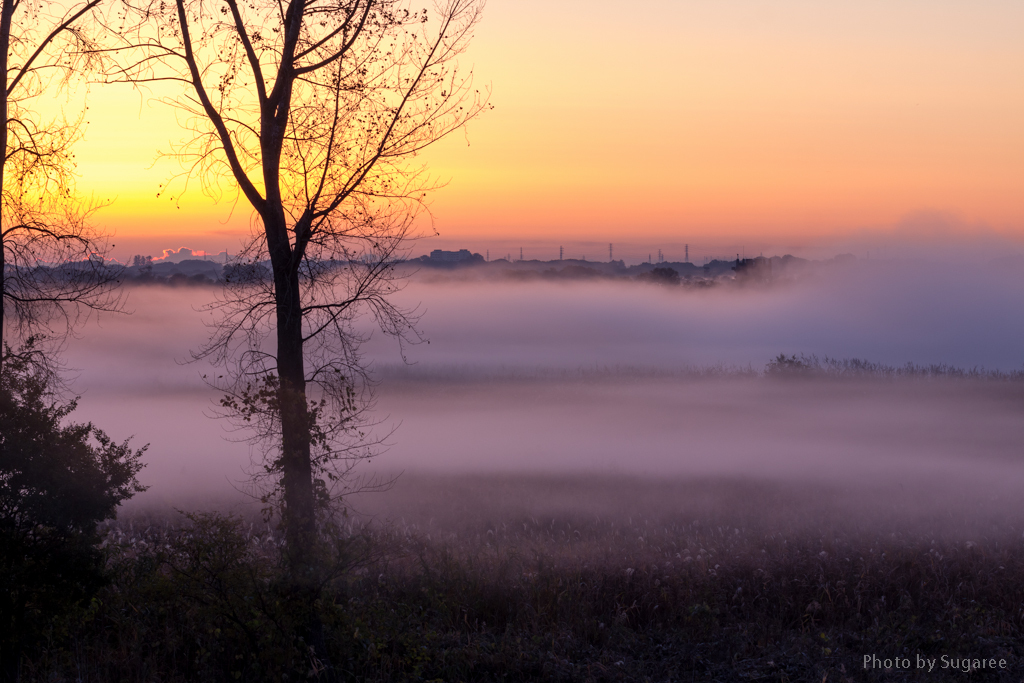 frost smoke