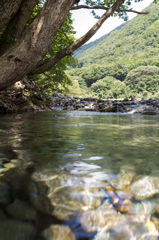 涼風冷水