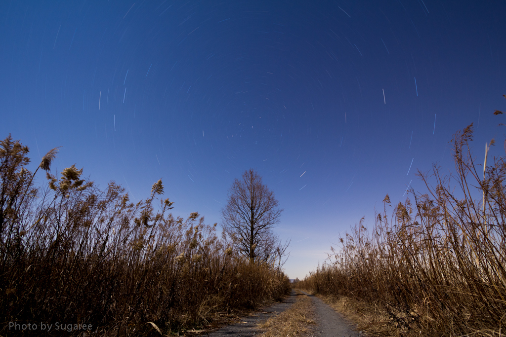 星空に続く道Ⅲ