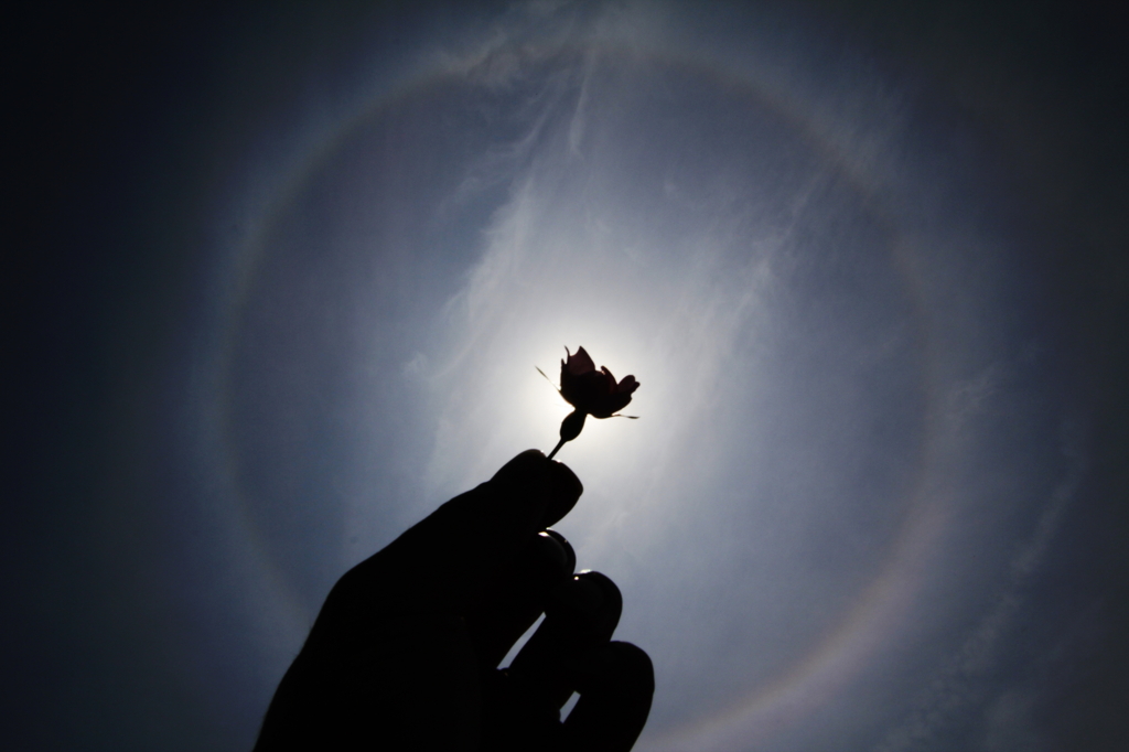 halo