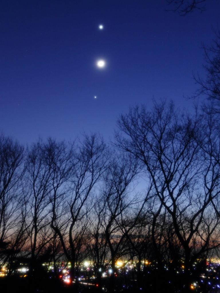 an emotional twilight