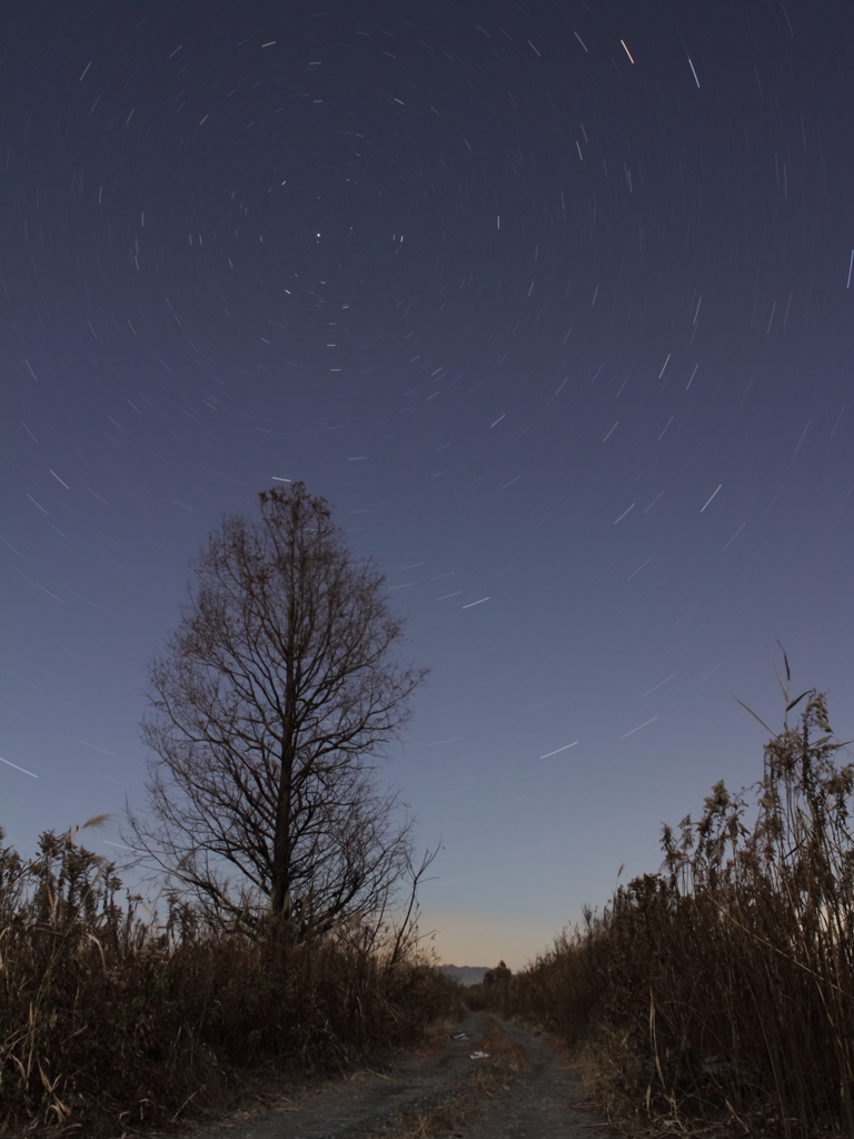 星空に続く道Ⅱ