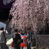 うららか