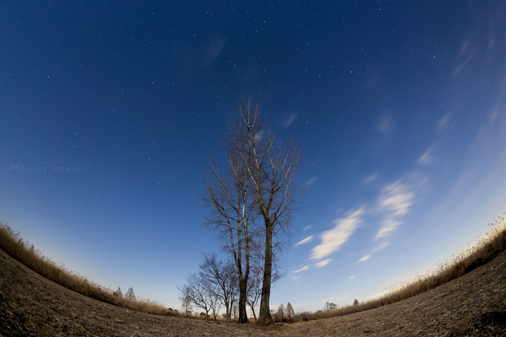 EOS6D+SIGMA15mm試写Ⅳ