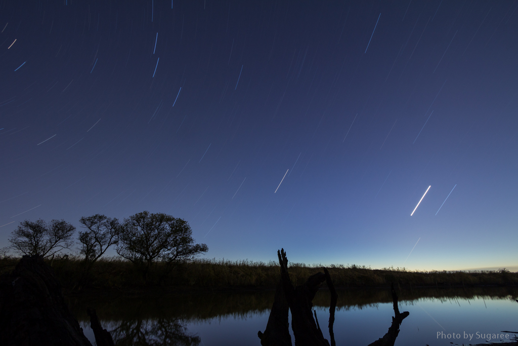 星の降る川辺