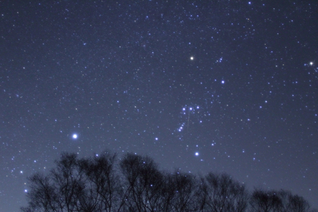 オリオンから零れ落ちる流れ星