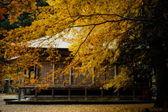 丹波篠山 松尾山 文保寺