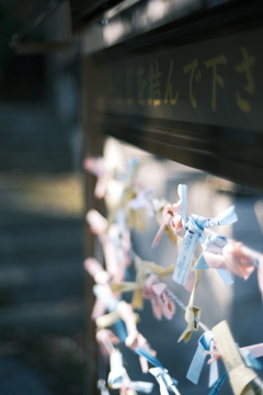 春日神社3